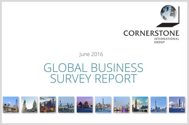 2016 GLOBAL BUSINESS SURVEY REPORT